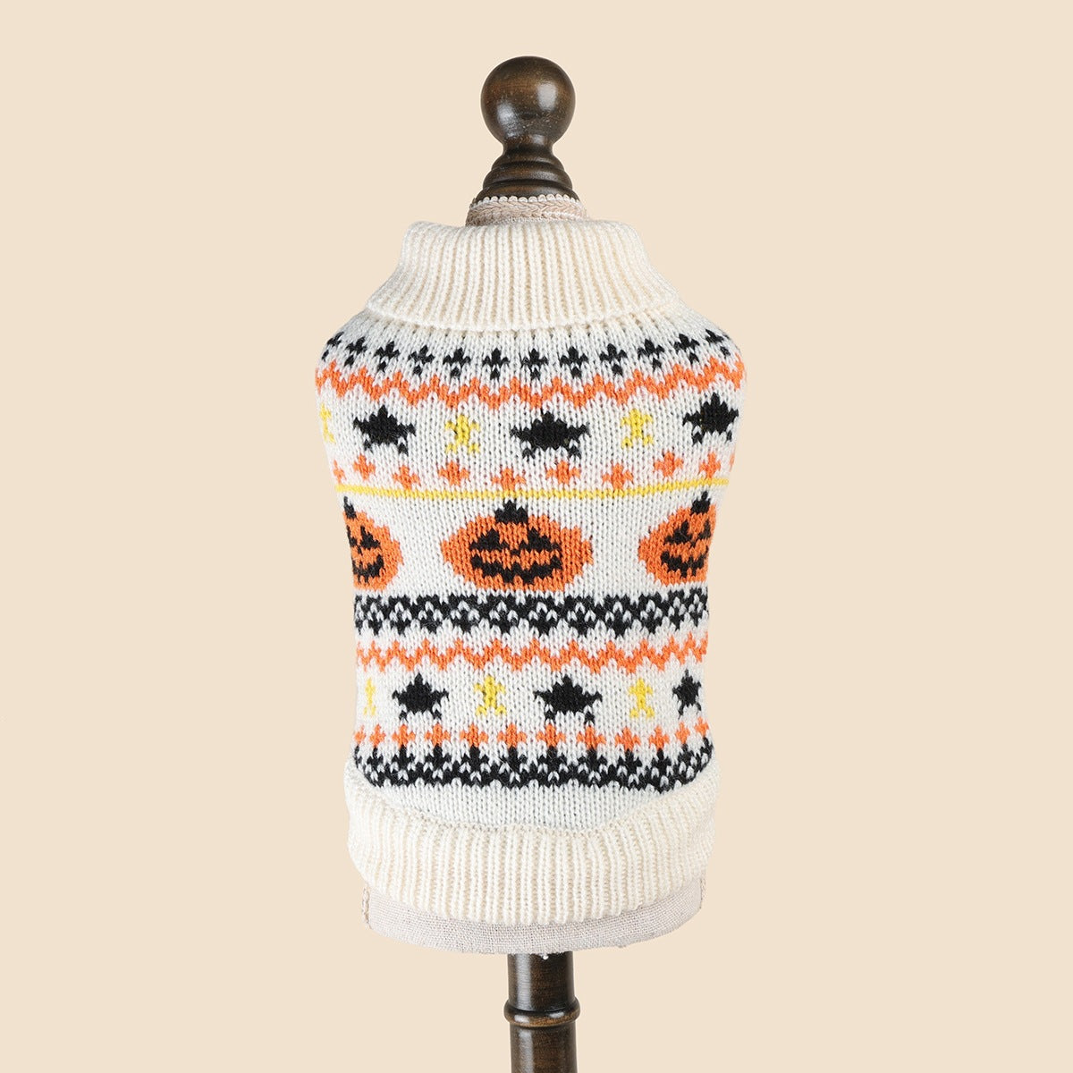 Small dog wearing a Halloween pumpkin and bat knit jumper