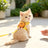 Burger and toast pet harness with lead, 2 sizes available