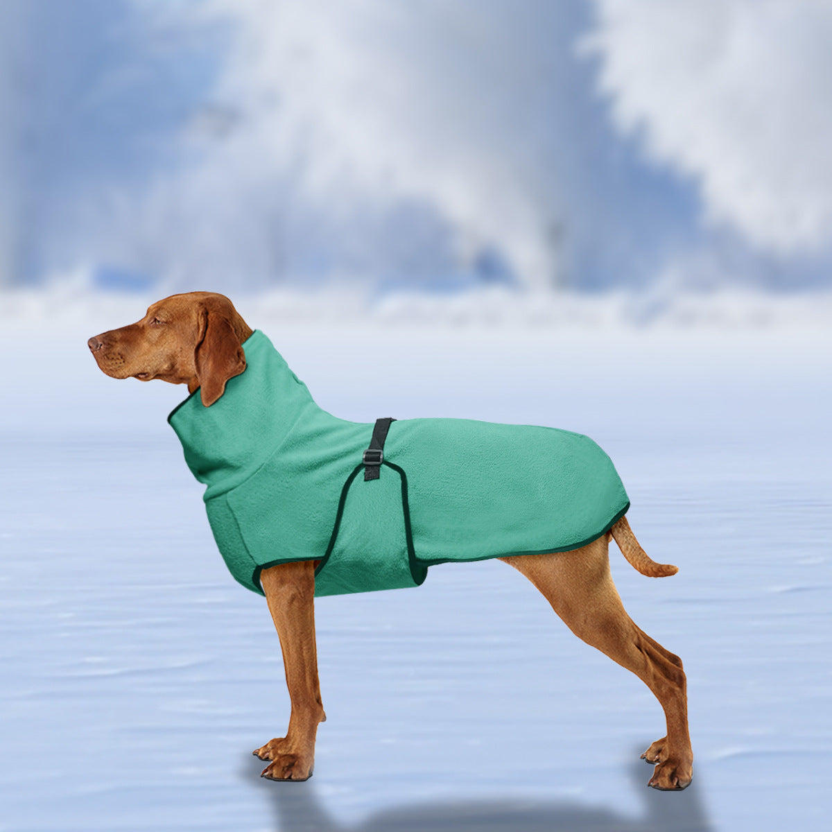 Hooded polar fleece dog jumper, available in 5 colours, sizes Small to 5XL, image 3