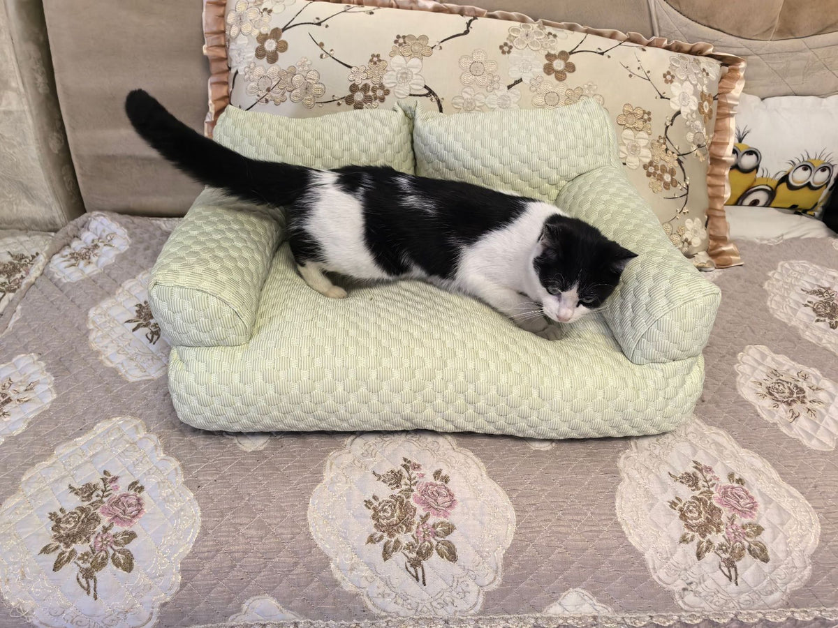Breathable small dog bed with removable washable cover, product overview photo