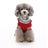 Blue knitted wool jumper for dogs and cats in Blue, showing size and shape