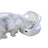Smart Pet Feeder