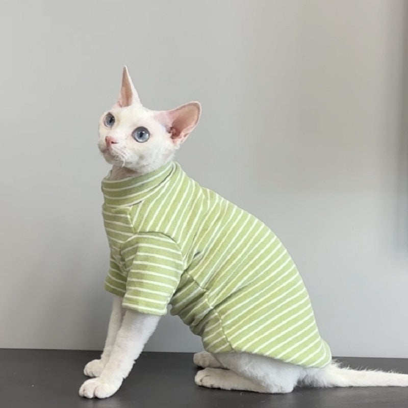 Warm cat jumpers for hairless breeds in black, green and purple