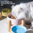Elevated Ceramic Pet Feeding Bowl with Bamboo Stand, Anti-Spill Base in Five Colours