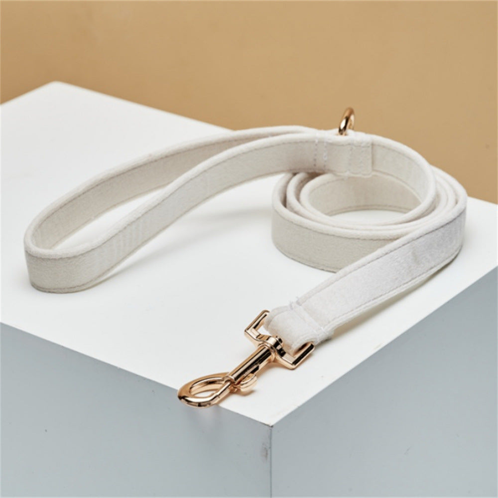Nylon dog lead with soft plush padded handle, ideal for everyday use