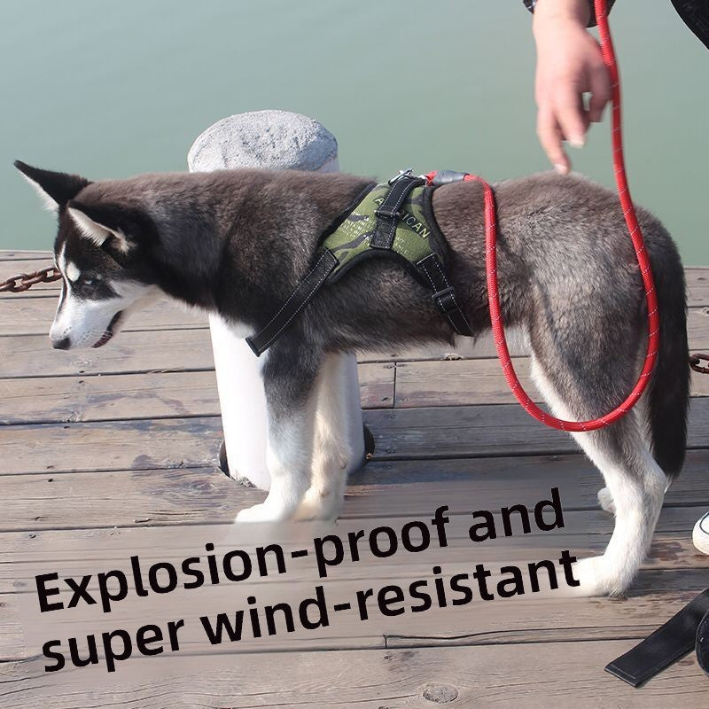 Breathable adjustable dog harness with reflective lead in Red, side view