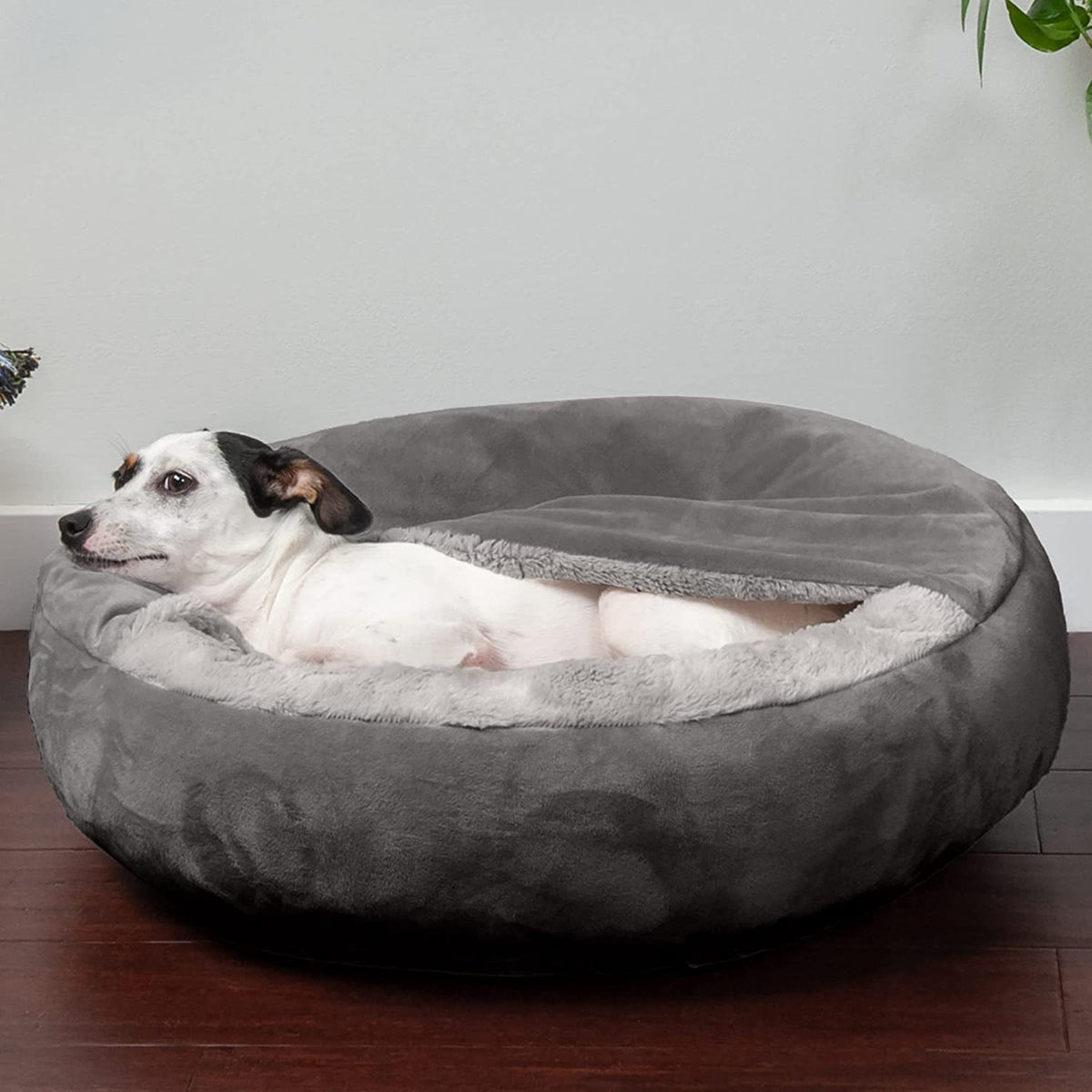 Plush pet house with removable cover and blanket, detail and texture view