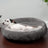 Plush pet house with removable cover and blanket, detail and texture view