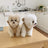 Warm cape shawl for small dogs and cats in Beige, side view