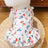 Soft polyester dog vest for autumn and winter in Green, front view