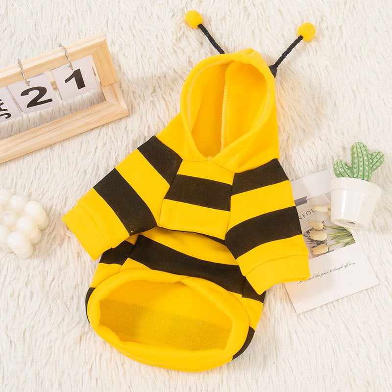 Small dog wearing a yellow and black striped bee sweatshirt