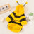 Small dog wearing a yellow and black striped bee sweatshirt