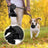 3-in-1 dog lead with built-in water bottle handle, product image 4
