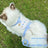 Kitten print cat harness and lead, ideal for everyday use
