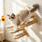 Solid wood wall-mounted cat climbing steps with sisal rope, photo 4