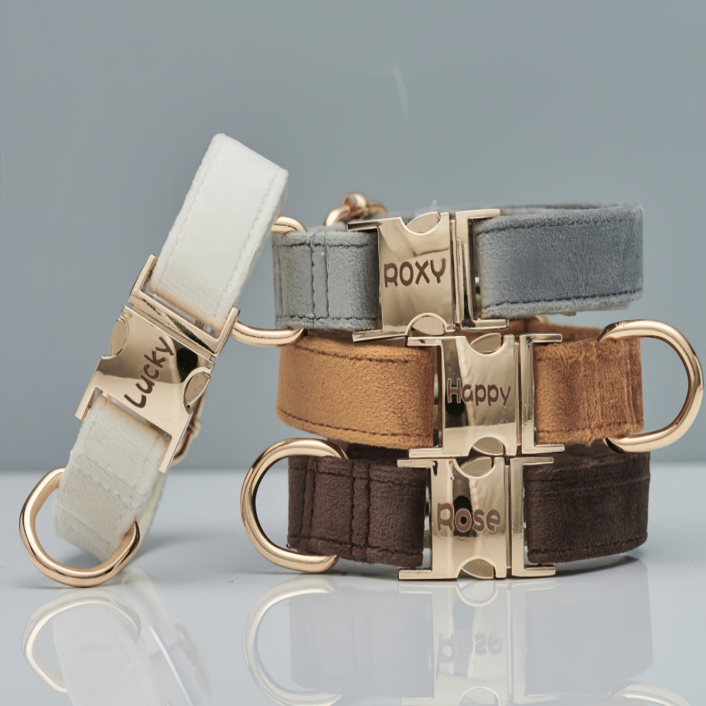 Soft velvet dog collar with metal buckle, ideal for everyday use