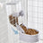 Hanging Pet Feeder and Water Dispenser Set, 500g Food and 500ml Water, Cage Mount