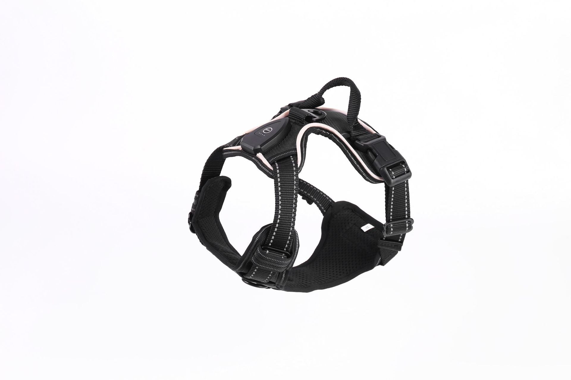 Light up fibre optic dog harness glowing at night, view 29