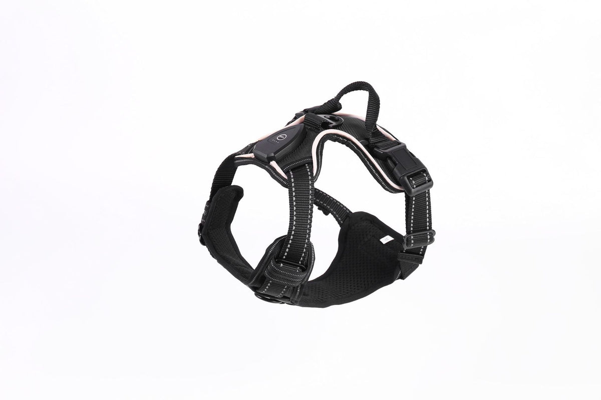 Light up fibre optic dog harness glowing at night, view 29