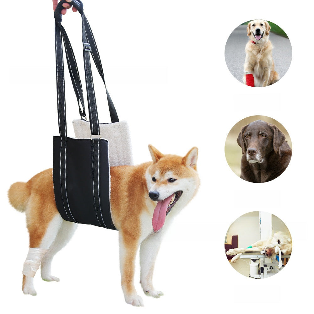 Dog support and lifting harness, main product photo
