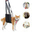 Dog support and lifting harness, main product photo