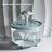 Large Capacity USB Pet Water Fountain with Quiet Pump and Multi-Stage Filter