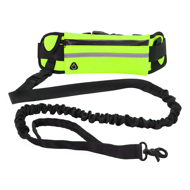 Hands free reflective waist belt dog lead in blue