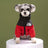 Windproof water-resistant padded jacket for large dogs in Green, front view