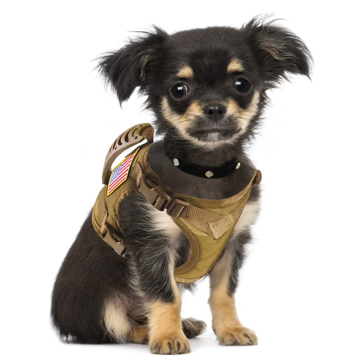 Tactical MOLLE cat harness vest in nylon, product image 4
