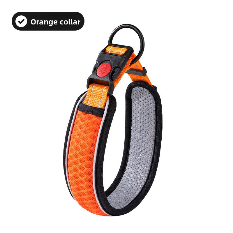 Adjustable dog collar with optional lead, 4 sizes available