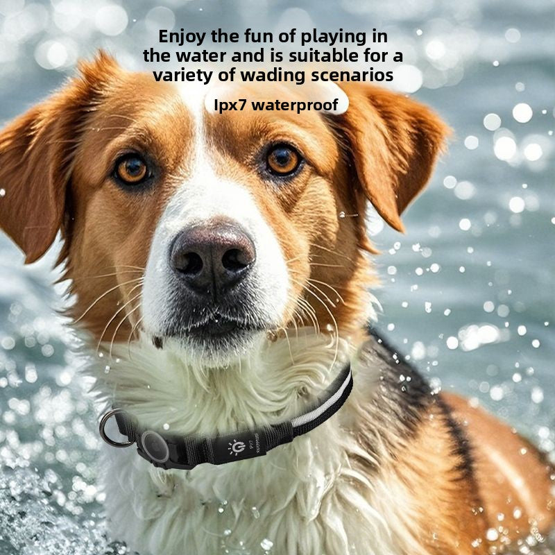 Waterproof light up dog collar with tracker pocket, view 2