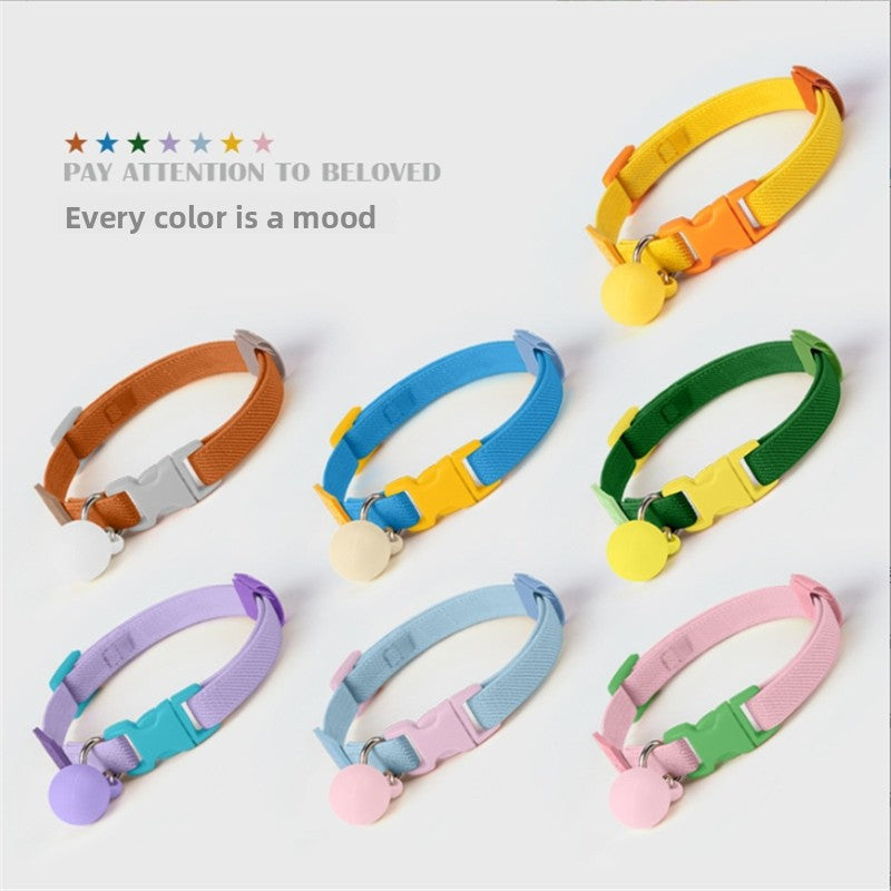Elastic collar for cats and small dogs in 14 colour options