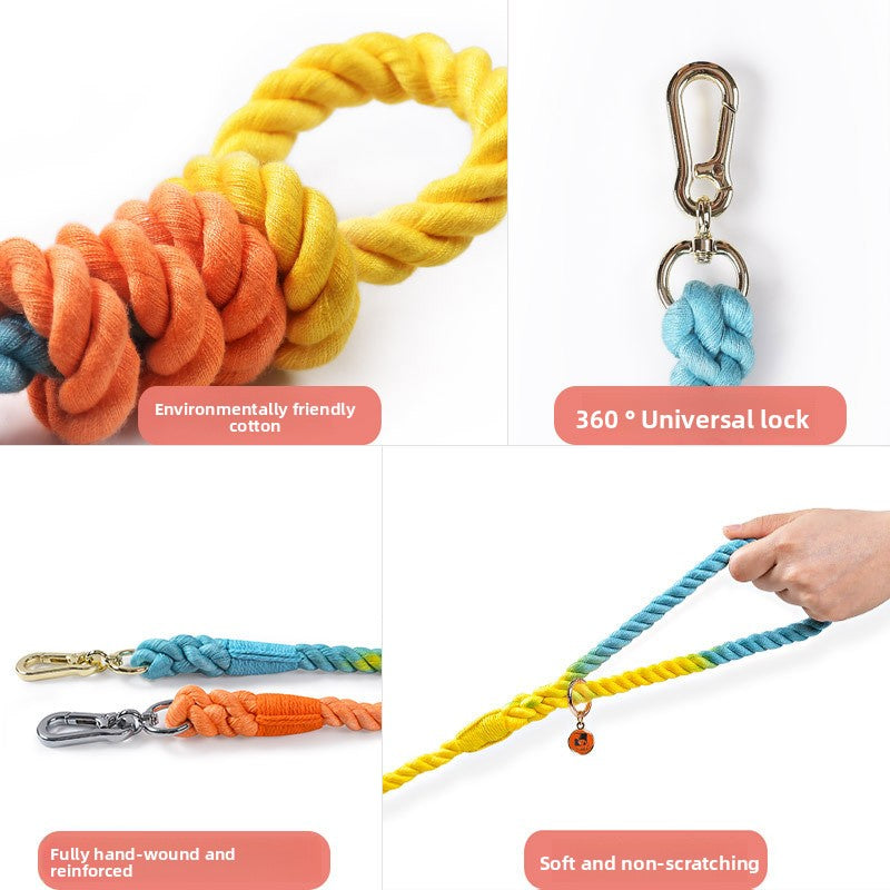Woven rainbow dog lead with gold coloured clip