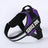 Adjustable polyester vest dog harness with 1.5m lead, ideal for everyday use