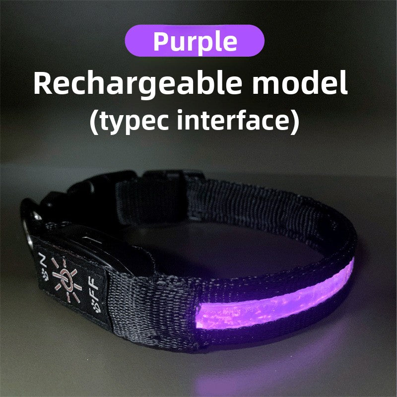 USB rechargeable LED dog collar, ideal for night walks