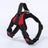 Breathable adjustable dog harness with reflective lead, in a home setting