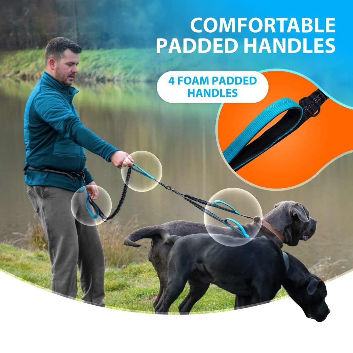 Hands-free double dog lead with bungee buffer, product photo
