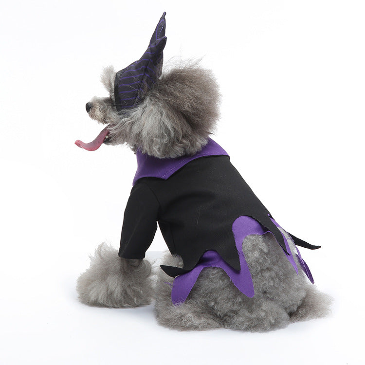 Funny clown and wizard dog costume, available in 18 styles, image 3