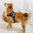 Saddle style padded dog harness in Check Saddle, front view