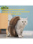Round accordion corrugated cat scratcher toy with bell ball, view 3 of 10