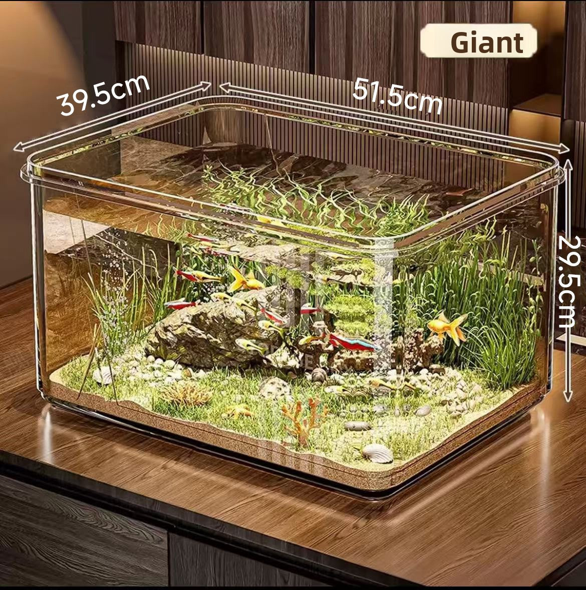 Clear shatterproof PET desktop fish tank for small fish, view 9