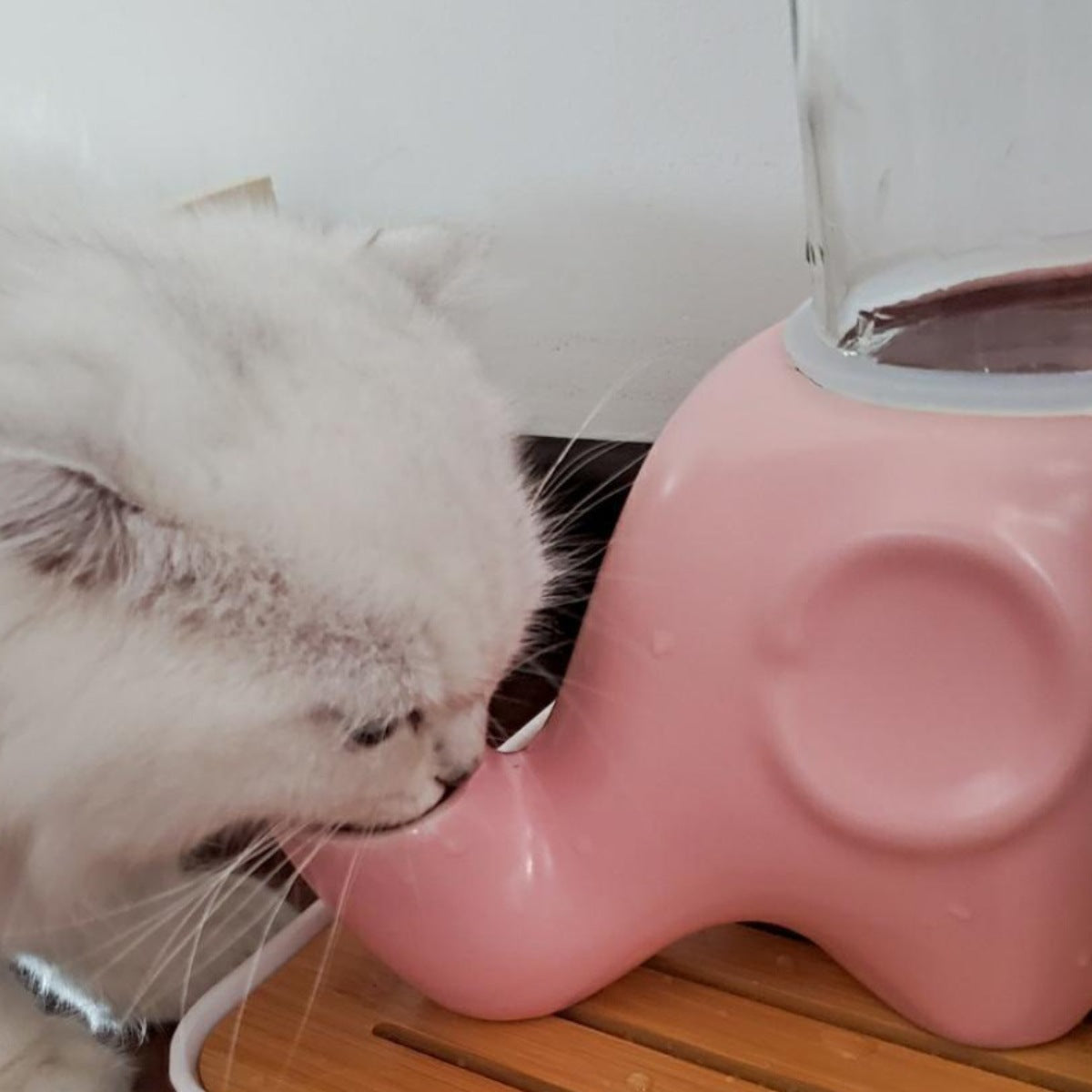 Ceramic Elephant Gravity Cat Drinking Fountain with Glass Bottle and Silicone Ring