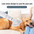 Quiet Pet Hair Dryer and Grooming Brush with Overheat Protection