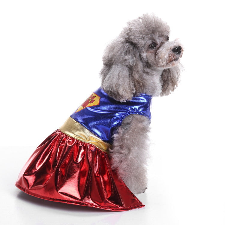 Small dog in a Christmas penguin costume with velcro fastening