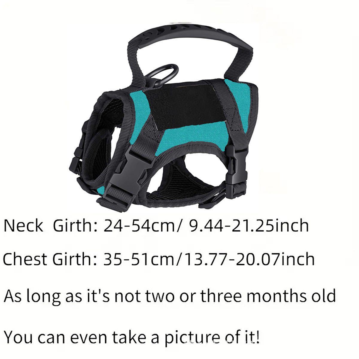 Tactical style vest harness in camouflage on a small dog