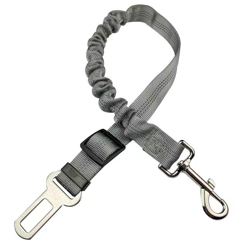 Short elastic dog lead and car seat belt, ideal for everyday use
