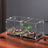 Clear acrylic reptile habitat box, photo from another angle