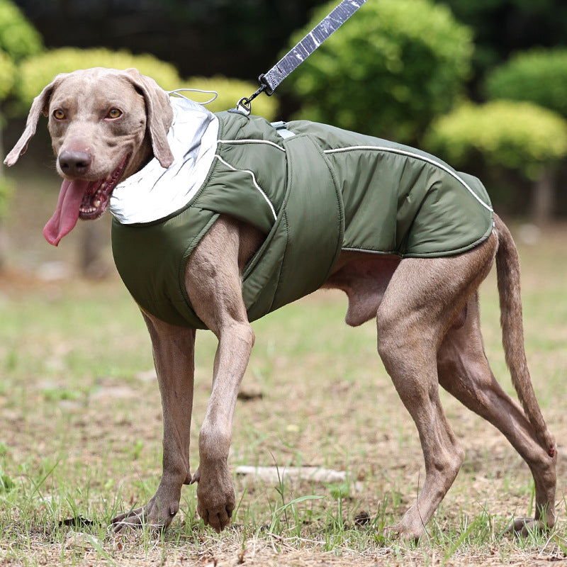 Waterproof padded outdoor dog coat, available in 6 colours, image 3