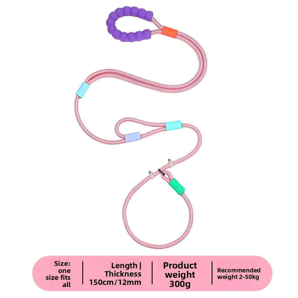 Bright nylon dog lead in vivid colour, product image 24