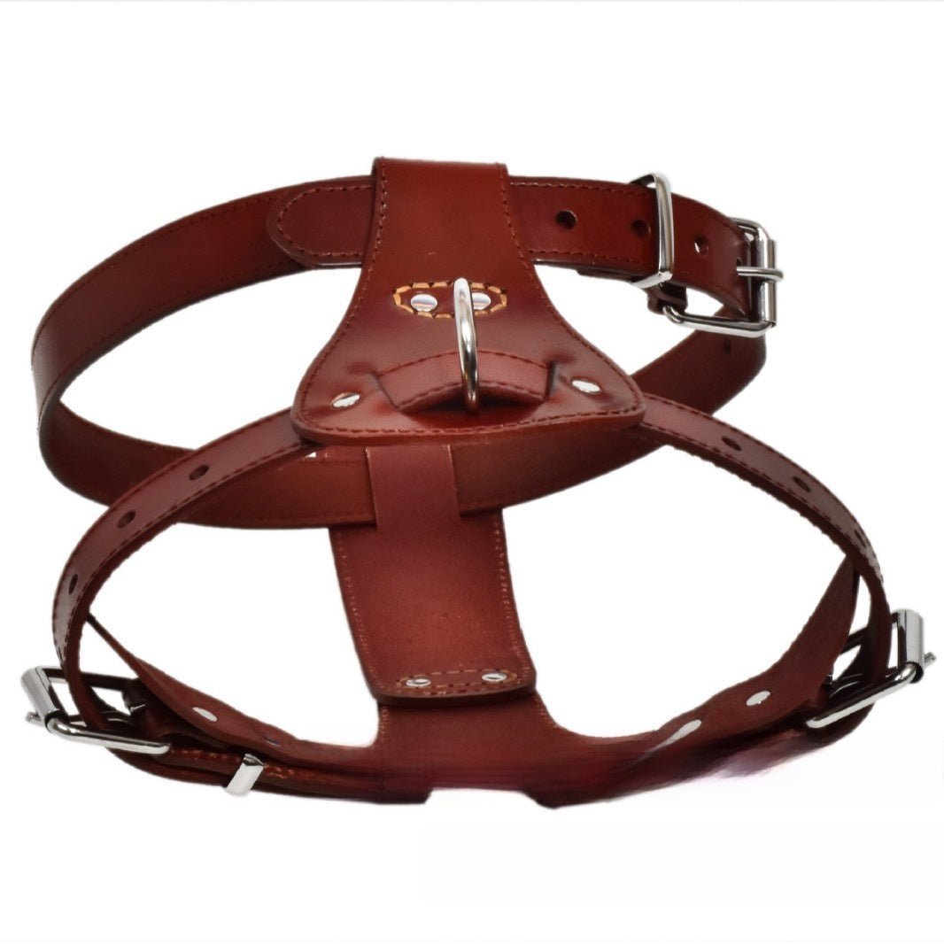 Brown leather dog chest harness with adjustable chest and neck straps, view 1